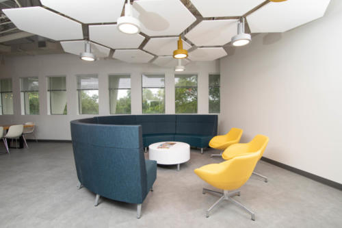 Collaborative Area